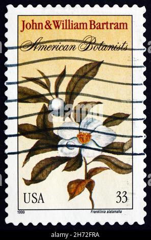 ÉTATS-UNIS D'AMÉRIQUE - VERS 1999 : un timbre imprimé aux États-Unis montre Franklin Tree, Franklinia Alatamaha, Floraison Tree, vers 1999 Banque D'Images