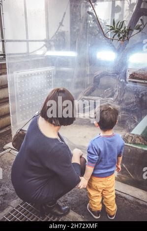 Femme whit son enfant regardant un serpent de boa derrière le verre dans le Palmiarnia Banque D'Images