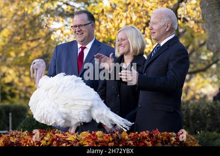 Washington DC, États-Unis.20 novembre 2021.LE président AMÉRICAIN Joe Biden (R) pardons le « beurre d'arachide » de la dinde de Thanksgiving nationale lors de la 74e présentation de la dinde de de Thanksgiving nationale dans le jardin des roses de la Maison Blanche, à côté du président de la Fédération nationale de Turquie Phil Seger (L) et du producteur turc Adrea Welp (C) de l'Indiana, à Washington, DC, États-Unis,19 novembre 2021.La dinde de de Thanksgiving nationale de 2021 et son suppléant, nommés respectivement 'beurre d'arachide' et 'Jelly', ont été élevés près de Jasper, Indiana.La cérémonie de donation est une tradition annuelle qui a lieu avant les fêtes de Thanksgiving.Crédit Banque D'Images