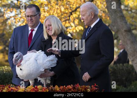 Washington DC, États-Unis.20 novembre 2021.LE président AMÉRICAIN Joe Biden (R) pardons le « beurre d'arachide » de la dinde de Thanksgiving nationale lors de la 74e présentation de la dinde de de Thanksgiving nationale dans le jardin des roses de la Maison Blanche, à côté du président de la Fédération nationale de Turquie Phil Seger (L) et du producteur turc Adrea Welp (C) de l'Indiana, à Washington, DC, États-Unis,19 novembre 2021.La dinde de de Thanksgiving nationale de 2021 et son suppléant, nommés respectivement 'beurre d'arachide' et 'Jelly', ont été élevés près de Jasper, Indiana.La cérémonie de donation est une tradition annuelle qui a lieu avant les fêtes de Thanksgiving.Crédit Banque D'Images