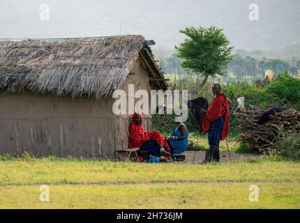 Arusha, Tanzanie, janvier 2020: Les maasai dans leur village style de vie Tribal typique Banque D'Images