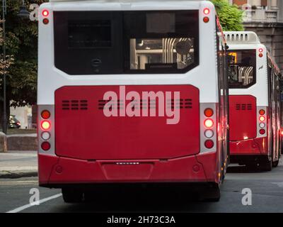 Photo de deux bus rouges, véhicules urbains, sur les services de la ville, en attente à un arrêt de bus dans le centre-ville de belgrade, Serbie. Banque D'Images
