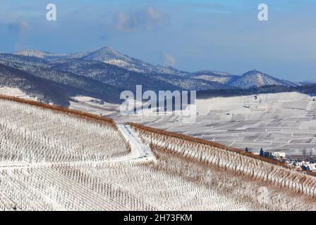 FRANCE, HAUT-RHIN (68), VIGNOBLES DE KATZENTHAL EN HIVER Banque D'Images