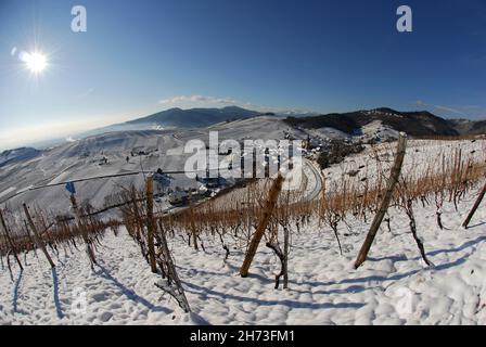 FRANCE, HAUT-RHIN (68), KATZENTHAL, VIGNOBLE ET NIEDERMORSCHWIHR EN HIVER Banque D'Images