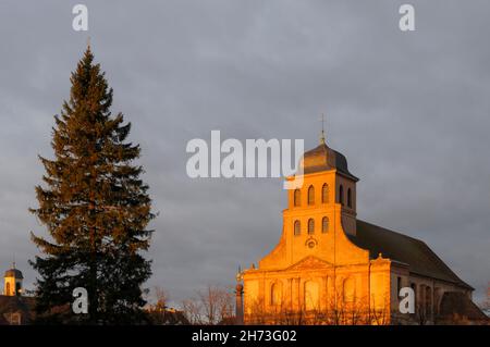 FRANCE, HAUT-RHIN (68), NEUF-BRISACH, GRAND ARBRE ET ST.ÉGLISE LOUIS ROYAL Banque D'Images