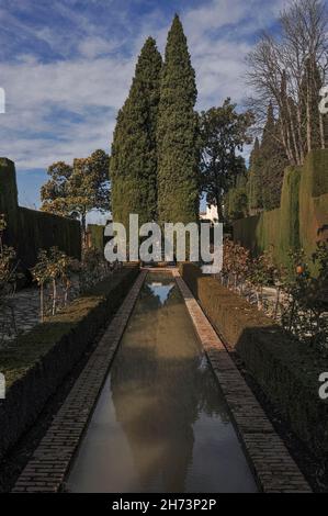 Jardins d'un palais d'été refuge pour les sultans - le Generalife, près du palais de l'Alhambra, ville de Grenade, Espagne Banque D'Images