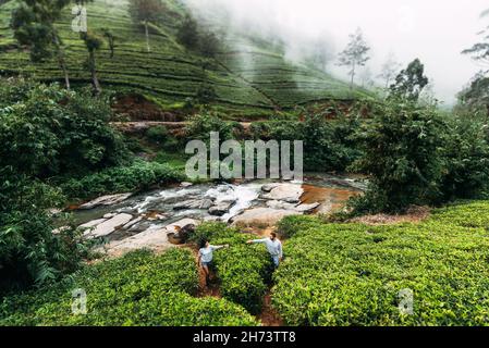 Plantations de thé vert dans les montagnes.Homme et fille voyageant en Asie.Homme et femme voyageant au Sri Lanka.Voyage de noces.Plantations de thé en S. Banque D'Images