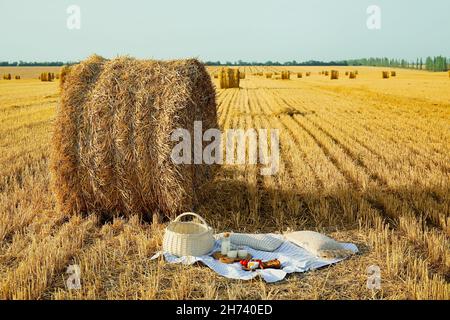 Pique-nique avec de la nourriture savoureuse et du lait dans le champ récolté près de haystack Banque D'Images