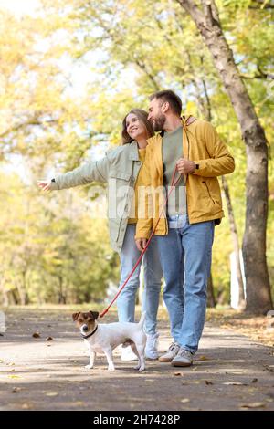 Couple charmant avec Jack Russel terrier marchant dans le parc le jour de l'automne Banque D'Images