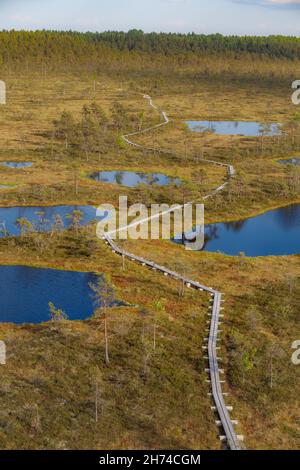 Une vue sur le sentier de randonnée de la tourbière Mukri, en Estonie Banque D'Images