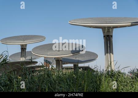 '11.19.2021 - Dubaï, Émirats Arabes Unis - Expo 2020 Sustainability District Solar Panel Trees by Terra Sustainability Pavilion Banque D'Images