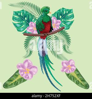 Quetzal assis sur une branche.Illustration Quetzal.Oiseau quetzal dessiné à la main Illustration de Vecteur