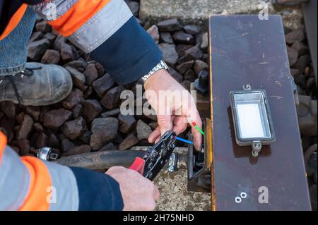 Un électricien appuie fermement sur une cosse à anneau à l'aide d'une pince à cosse de câble Banque D'Images