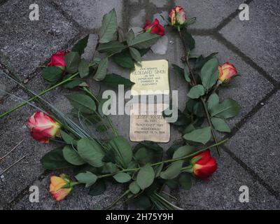 Pierres d'achoppement aux fleurs fraîchement posées par l'artiste Gunter Demnig le 11.11.2021 à Magdeburg Banque D'Images