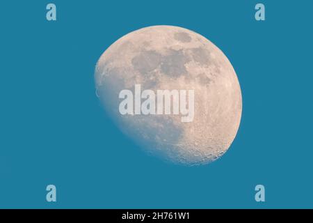 Lune gibbbeuse cirée sur ciel bleu Banque D'Images