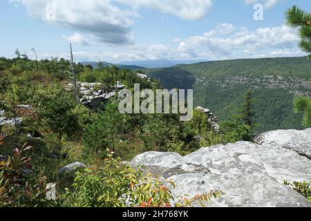 Vue sur la gorge de Linville depuis Shortoff Mountain en Caroline du Nord Banque D'Images