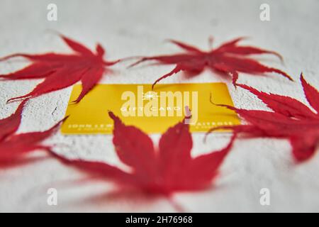 Carte cadeau jaune John Lewis et Waitrose avec feuilles d'érable rouges sur fond gris. Banque D'Images