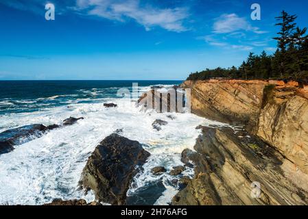 Parc régional Shore acres Banque D'Images