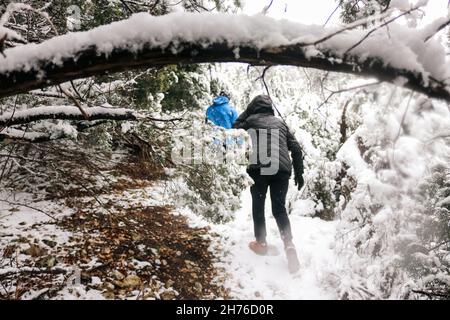 Une femme dans un manteau d'hiver marchant et marchant sur un sentier couvert de neige dans les bois et la forêt son manteau d'hiver noir gardant sa chaleur. Banque D'Images