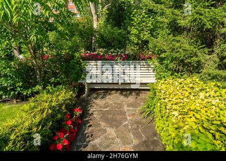 Un banc de repos se dresse dans un coin isolé parmi des fleurs, des arbres et des arbustes taillés dans un parc par une journée ensoleillée en été. Banque D'Images