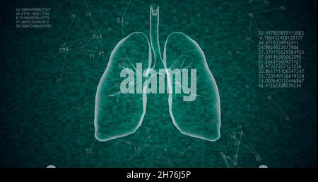 Modèle 3D rotatif à 360 poumons polygonaux avec cellules coronavirus et nombres et diagrammes croissants animés.Illustration 3D Banque D'Images