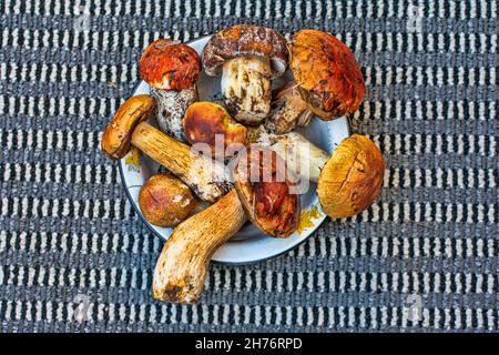 Champignons sauvages frais sur l'assiette Banque D'Images