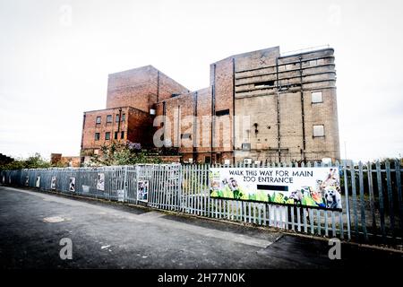 L'hippodrome Dudley, Castle Hill, le 20 novembre, a été réservé à la démolition et a peu d'espoir d'être sauvé.L'ancien hippodrome de Dudley n'a pas organisé de représentation en direct depuis 1974, et a fermé en 2009, mais une longue campagne a été menée pour la sauver.Dudley Metropolitan Borough Council a reçu 25 millions de livres sterling par le gouvernement pour construire un centre universitaire sur le site.Le bâtiment des années 1930 a accueilli des actes comme Gracie Fields, Laurel et Hardy, Marlene Dietrich et George Formby et a été utilisé plus tard comme salle de bingo.VUE ARRIÈRE. Banque D'Images