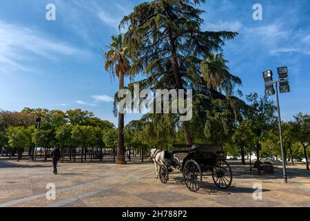 Parque Alameda Vieja en Jerez de la Frontera en la provincia de Cádiz, Bellleza y Detales / Parc Alameda Vieja en Jerez de la Frontera, Cadix Banque D'Images