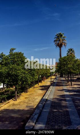Parque Alameda Vieja en Jerez de la Frontera en la provincia de Cádiz, Bellleza y Detales / Parc Alameda Vieja en Jerez de la Frontera, Cadix Banque D'Images