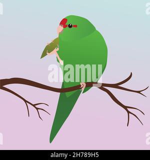 Illustration vectorielle d'un paraquet rouge couronné.L'oiseau est vert et a un front rouge.Elle est assise sur une branche et tient une feuille avec une jambe Illustration de Vecteur