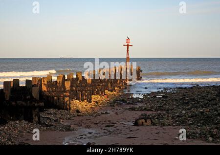 Vue sur un brise-lames en bois très construit sur la plage avec de grandes fintes sur la côte nord de Norfolk à West Runton, Norfolk, Angleterre, Royaume-Uni. Banque D'Images