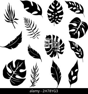 feuilles graphiques noires pour les graphiques autodessein, clipart et vectoriels Banque D'Images