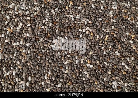 Beaucoup de graines de chia noir, macro.Vue de dessus de minuscules graines de chia ovales noires et blanches.Également connu sous le nom de Salvia hispanica, chian ou chien.Oméga-3 en bonne santé Banque D'Images