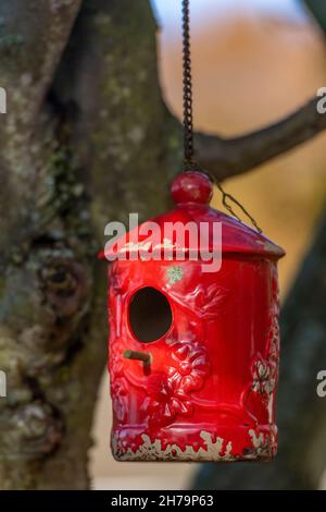 mangeoire à oiseaux en céramique suspendue dans l'arbre, nourrissant les oiseaux, mangeoire à oiseaux rouges colorée suspendue dans l'arbre pour nourrir les oiseaux en hiver, mangeoire de jardin pour les oiseaux sauvages Banque D'Images