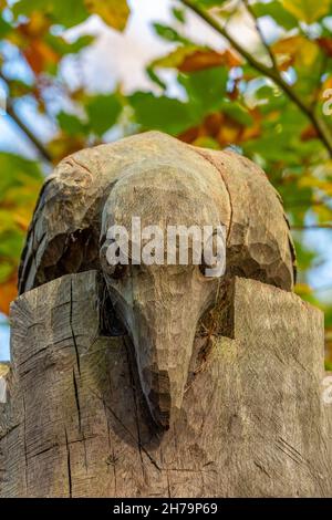 sculpture sur bois d'oiseau grotesque ou de conte de fées regardant sur le dessus d'une souche d'arbre, image sculptée ou sculpture d'un oiseau, stauary de jardin sous forme d'oiseau. Banque D'Images