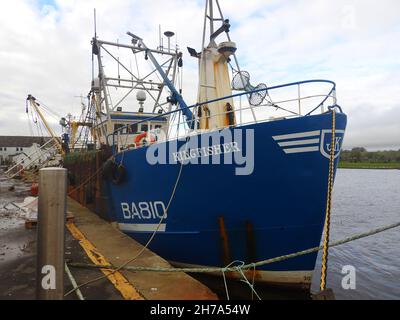 BA 810 KINGFISHER - Ballantrae (une communauté de Carrick, South Ayrshire, Écosse) bateaux de pêche déchargeant leurs prises à Kirkcudbright, Dumfries et Galloway, Écosse. Banque D'Images