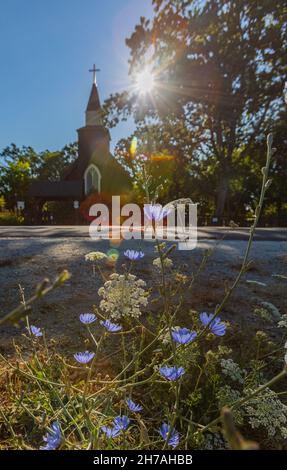 Vue de face sur les fleurs et une église avec croix en arrière-plan au coucher du soleil.Île de Vancouver C.-B., Canada Banque D'Images