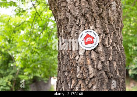 21 mai 2021, Dilijan, Arménie: Sentier de randonnée dans la forêt du parc national avec une marque sur un arbre avec légende - sentier transcaucasien en anglais et arménien Banque D'Images