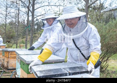 Deux apiculteurs, un homme et une femme, travaillent sur des nids d'abeilles dans le champ Banque D'Images