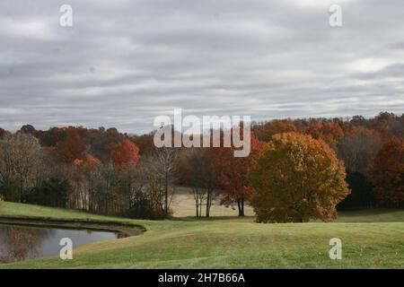 Lost Creek Vineyard-Missouri Wine Country Banque D'Images