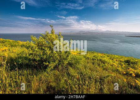 Paysage idyllique avec prairie et le célèbre lac de Sevan - une des plus grandes sources d'eau douce en Arménie et toute la Transcaucasie. Banque D'Images