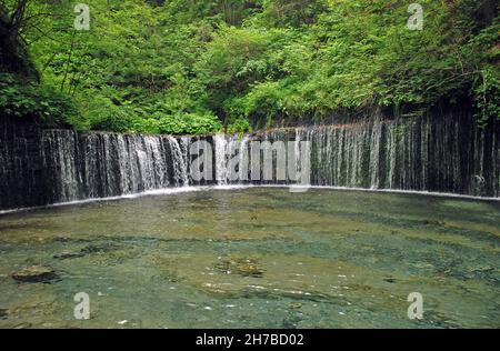 Unique cascade de Shiraito de forme circulaire dans la forêt près de Karuizawa, Japon, Banque D'Images