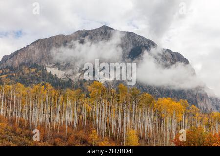 Marcellina Mountain avec trembles à l'automne, Kebler Pass Road, Gunnison National Forest, Colorado Banque D'Images