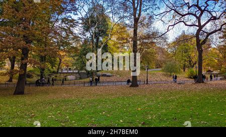 New York, New York, États-Unis.20 novembre 2021.Des feuilles colorées sont visibles pendant le feuillage d'automne à Central Park, à New York, le 20 novembre 2021.(Credit image: © Ryan Rahman/Pacific Press via ZUMA Press Wire) Banque D'Images