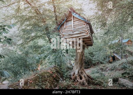 Maison d'arbre mystique et de conte de fées, qui rappelle l'effrayante demeure de Baba Yaga sur des pattes de poulet dans la forêt Banque D'Images