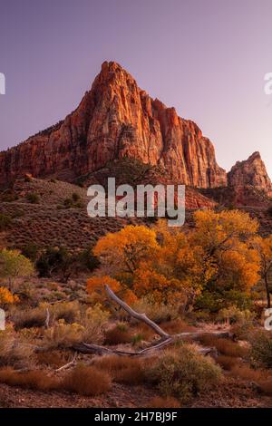 Le Watchman dans la soirée en automne, parc national de Zion, Utah Banque D'Images