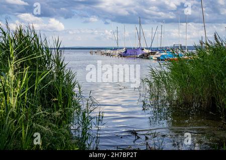 Mardorf, Basse-Saxe, Allemagne - 07 juin 2020 : vue à travers le roseau du Steinhuder Meer et du port de plaisance Banque D'Images