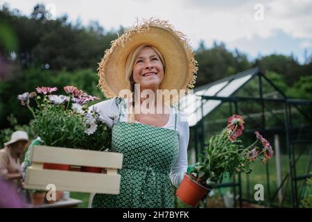 Femme de haut rang fleuriste transportant une caisse avec des fleurs plantées à l'extérieur dans le jardin. Banque D'Images