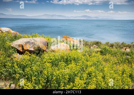 Paysage idyllique avec des rochers orange pittoresques et le célèbre lac de Sevan - l'une des plus grandes sources d'eau douce en Arménie et dans toute la Transcaucasie. Banque D'Images