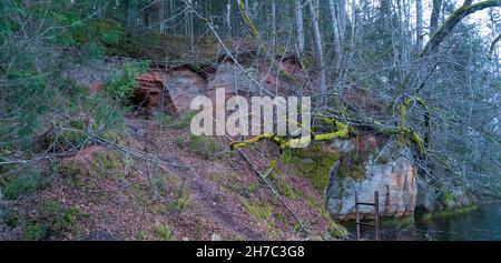 Les falaises long Ziedleju de 40 m sont composées de grès rougeâtres de la suite Gauja.Un affleurement de grès sur les rives de la rivière Gauja, Incukalns, Lettonie. Banque D'Images